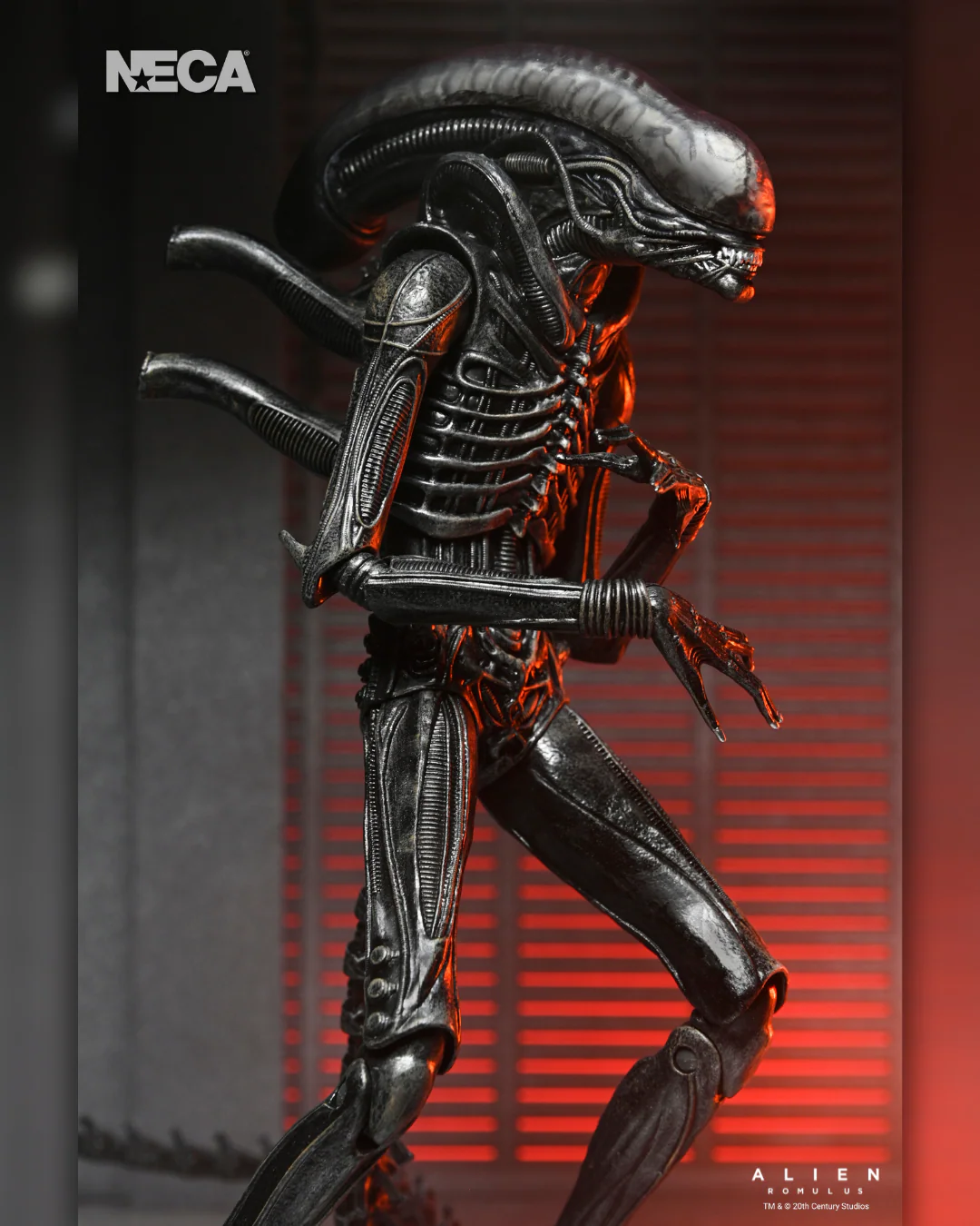 Alien: Romulus - Ultimate Xenomorph XX121 7" Scale Action Figure (PRE-ORDER) - Image 4