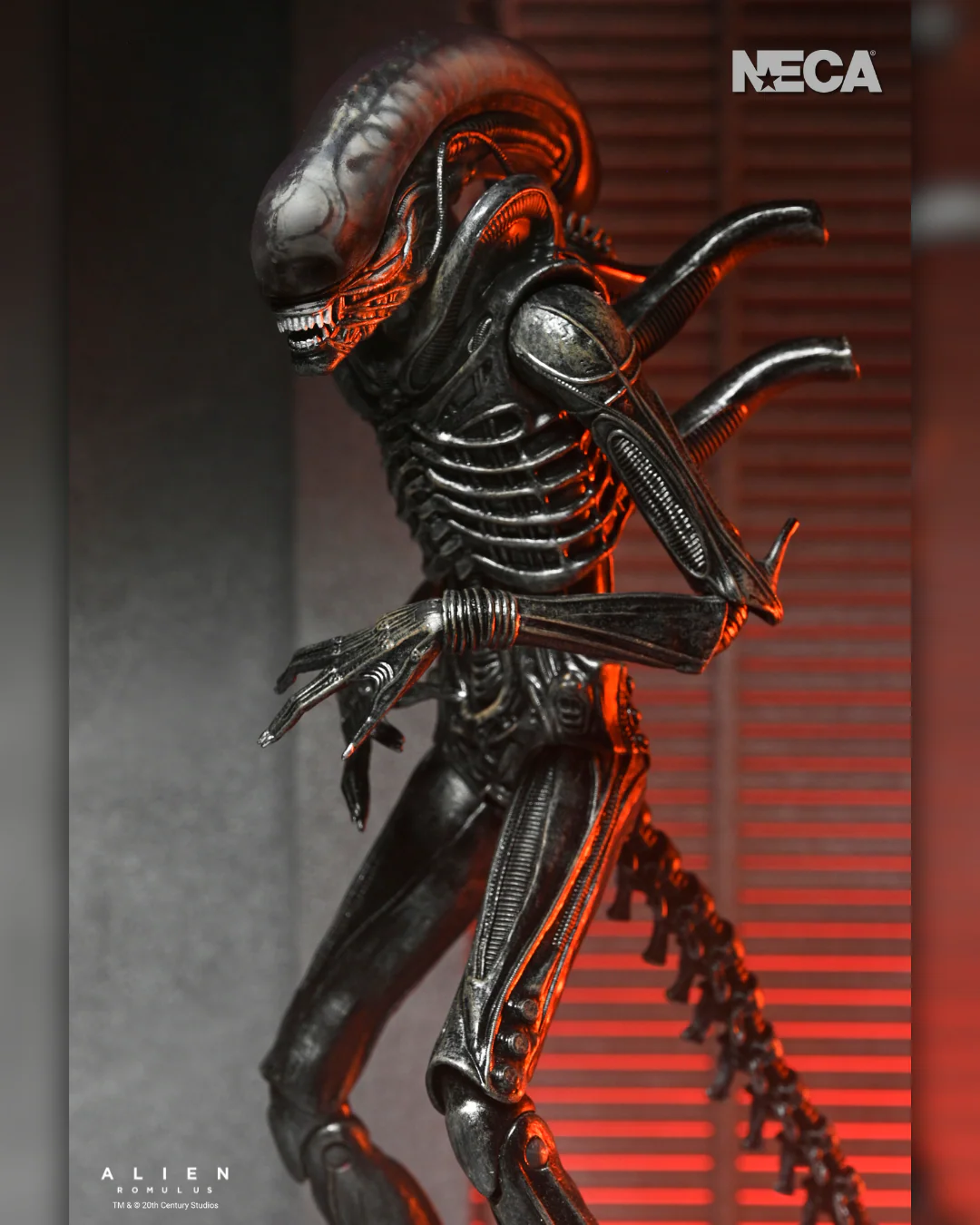 Alien: Romulus - Ultimate Xenomorph XX121 7" Scale Action Figure (PRE-ORDER) - Image 5