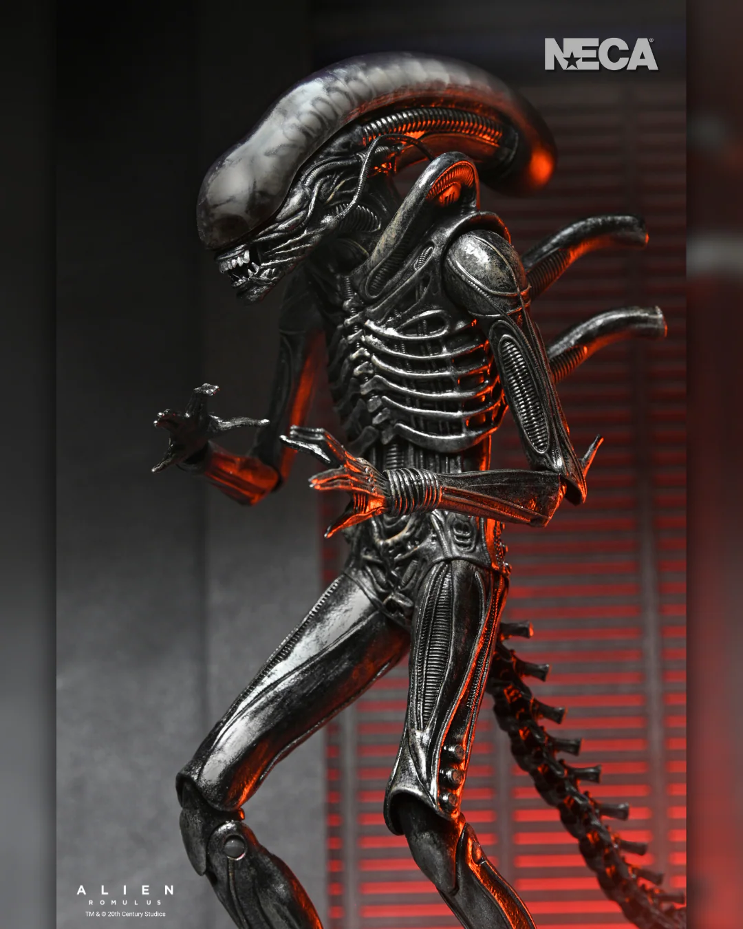 Alien: Romulus - Ultimate Xenomorph XX121 7" Scale Action Figure (PRE-ORDER) - Image 6